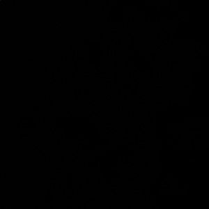 Meet your Posher, Ander